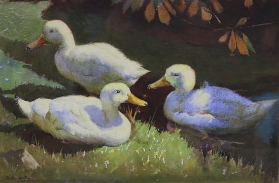 Arthur Wilson Gay (1901-1958) Study of ducks on a river bank 25 x 37cm